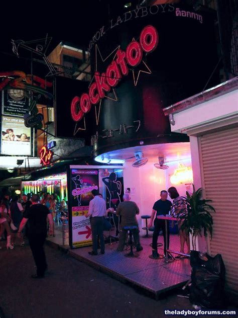 cockatoo bar bangkok|Cockatoo Bar .